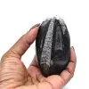 Fossiel van Orthoceras - 0