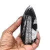 Fossiel van Orthoceras uit Marokko - 5