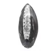Orthoceras van Marokko - 1