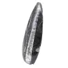 Gepolijste Orthoceras Fossiel - 2