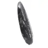 Gepolijste Orthoceras Fossiel - 3
