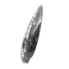 Orthoceras fossiel Marokko - 2