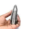 Fossiel van Orthoceras uit Marokko - 0