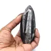 Fossiel van Orthoceras uit Marokko - 0