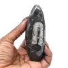 Fossiel van Orthoceras uit Marokko - 11