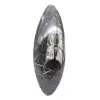 Fossiel van Orthoceras - 1