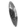 Fossiel van Orthoceras - 3