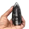 Fossiel van Orthoceras - 0