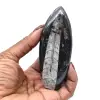 Fossiel van Orthoceras uit Marokko - 12