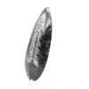 Gepolijste orthoceras - 2