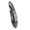 Orthoceras fossiel Marokko - 3