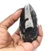 Fossiel van Orthoceras uit Marokko - 15