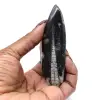 Orthoceras fossiel Marokko - 0