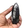 Fossiel van Orthoceras - 0