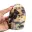 Gepolijst anhydriet — 9
