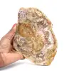 Natuurlijk gepolijst fossiel hout - 0