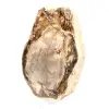 Natuurlijk gepolijst versteend hout - 3