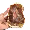 Natuurlijk gefossiliseerd hout - 0