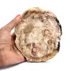 Natuurlijk verkiezeld hout - 0