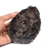 Gepolijst gesilicificeerd hout uit Madagaskar - 0