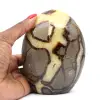 Verzamelbare Septaria - 0