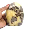 Sierseptaria uit Madagaskar - 0