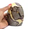 Sierlijke septaria - 0