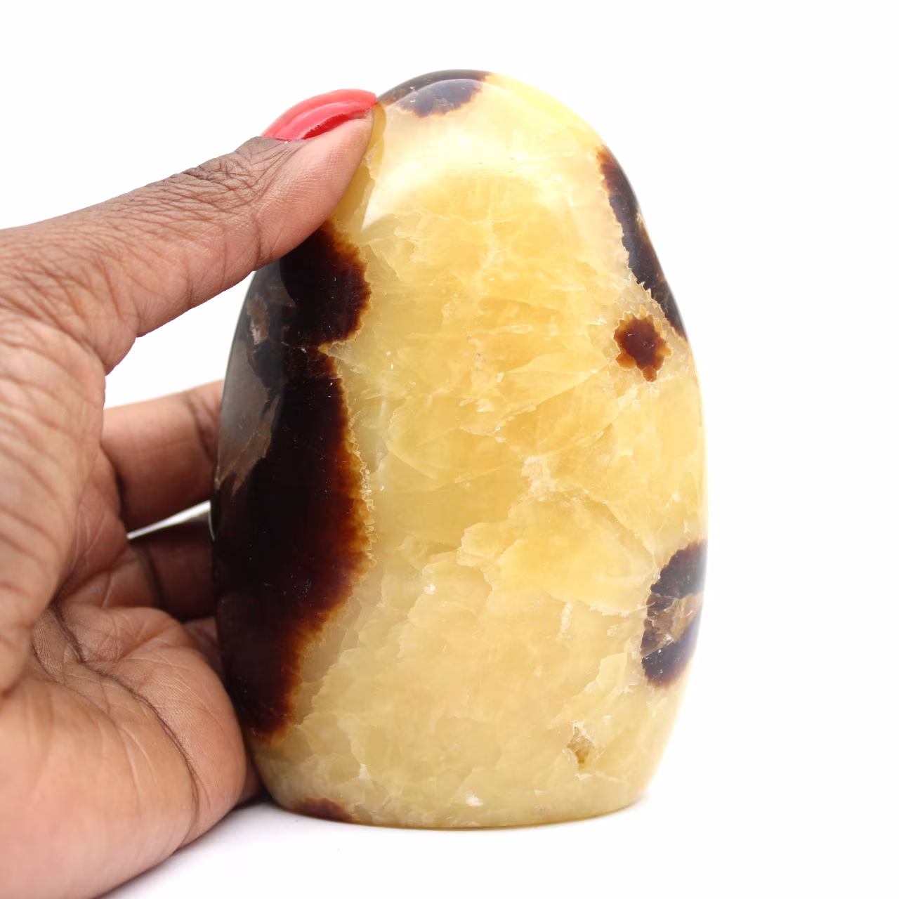 Natuurlijke Septarian Steen