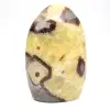 Natuurlijke Septaria uit Madagaskar - 1