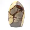 Natuurlijke Septaria uit Madagaskar - 4