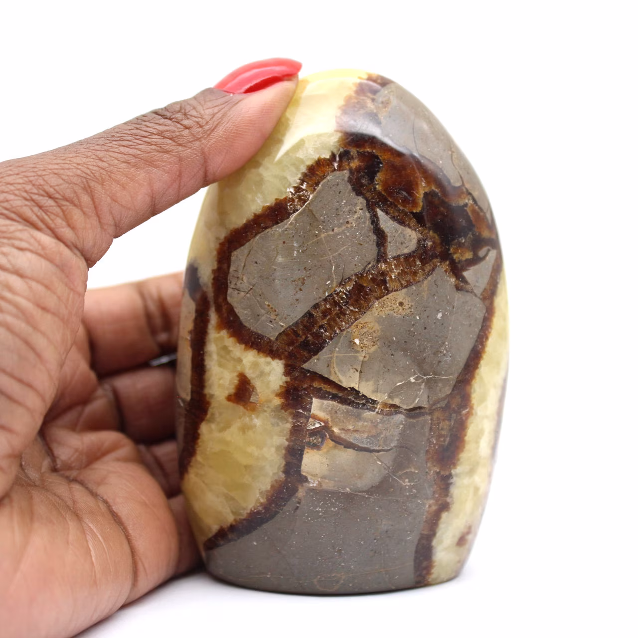 Natuurlijke Septaria uit Madagaskar