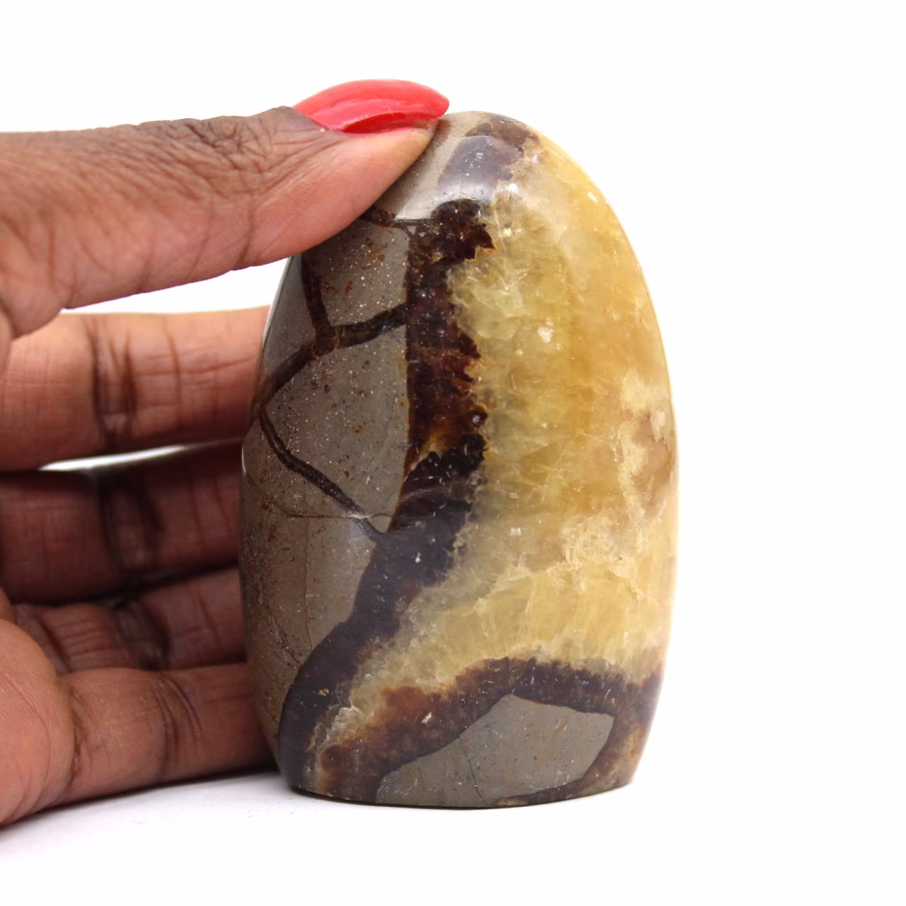Gepolijst Septarian Blok Gepolijst Septarian Blok