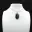 Ovale Labradoriet Hanger — 9