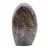 Gepolijste zwarte Microcline steen