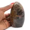 Microklien rots - 1
