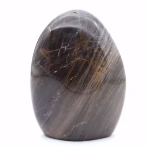 Gepolijste zwarte maansteenrots