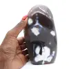 Sierlijke agaat - 1
