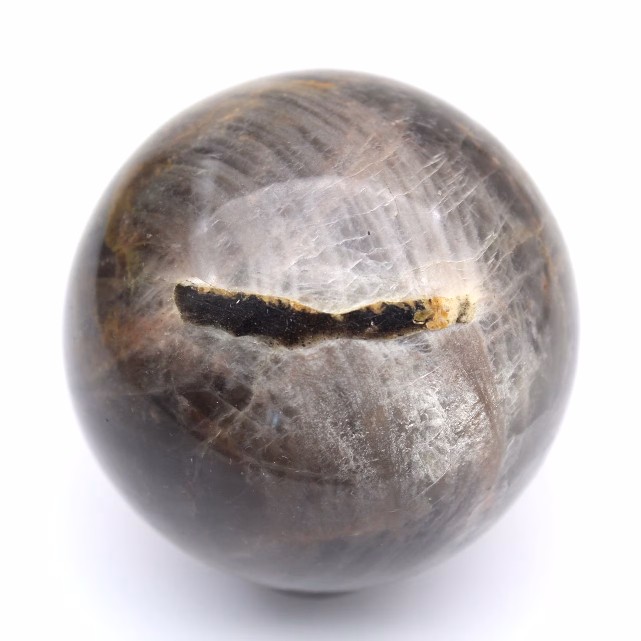 Zwarte microklien bol