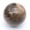 Zwarte microklien uit Madagaskar - 0