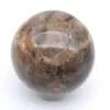 Zwarte microklien uit Madagaskar - 2