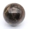 Zwarte microklien uit Madagaskar - 3