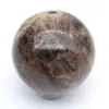 Zwarte microklien uit Madagaskar - 4
