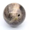 Zwarte microklien uit Madagaskar - 5