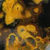 Indonesische hommeljaspis: gepolijst natuurstenen ornament - 15