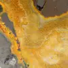 Gepolijst exemplaar van hommeljaspis: Herkomst Indonesië - 8
