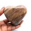 Microklienhart uit Madagaskar - 1