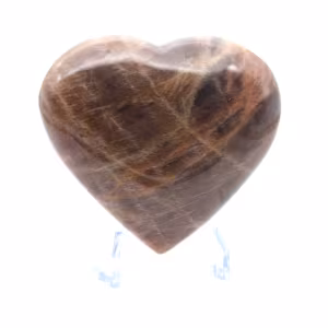 Microklien van Madagaskar