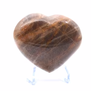 Microklien hart