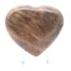 Microklienhart uit Madagaskar - 0