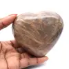 Microklienhart uit Madagaskar - 1